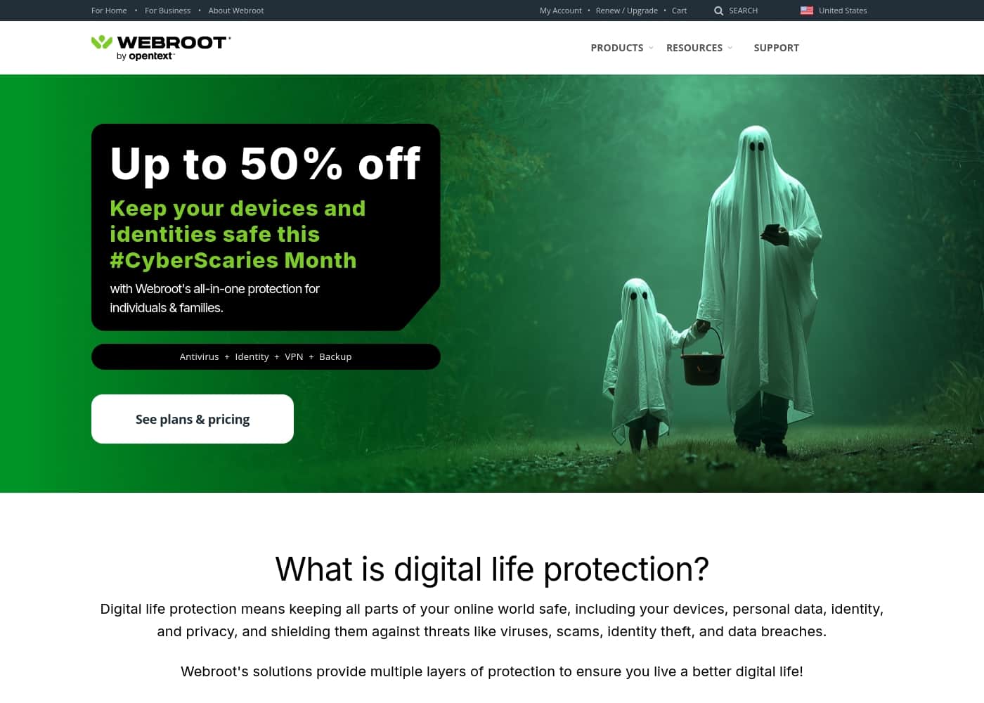Webroot homepage screenshot