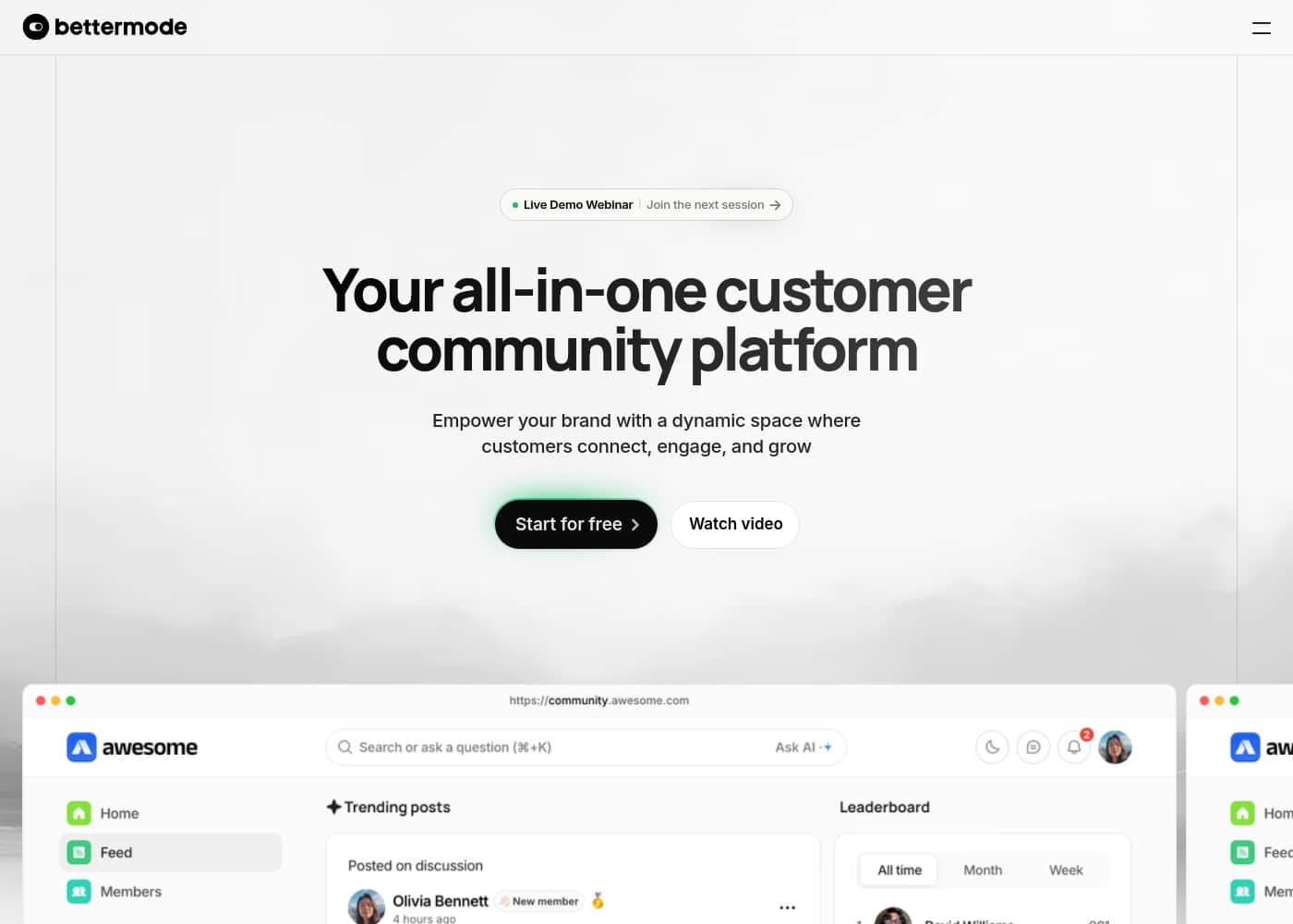 Bettermode homepage screenshot