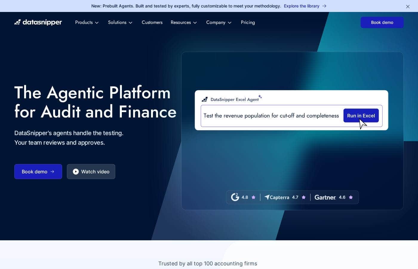 DataSnipper homepage screenshot