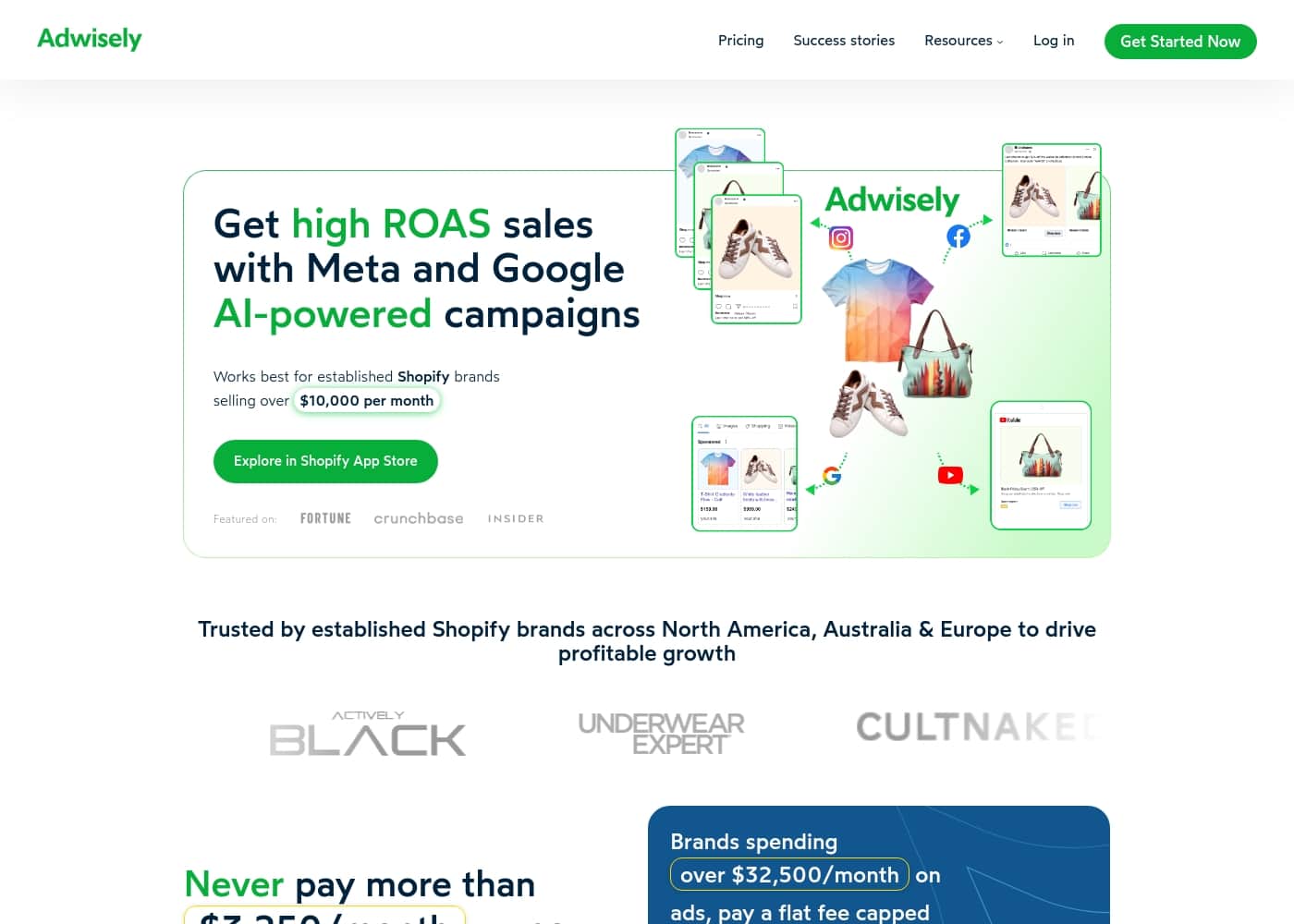 Adwisely homepage screenshot