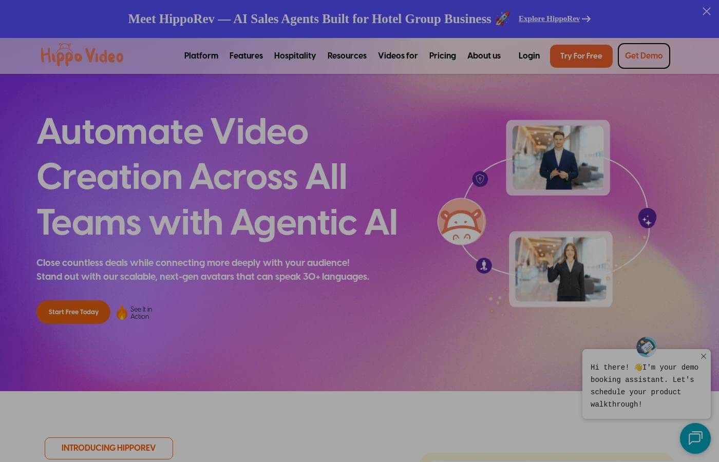 Hippo Video homepage screenshot