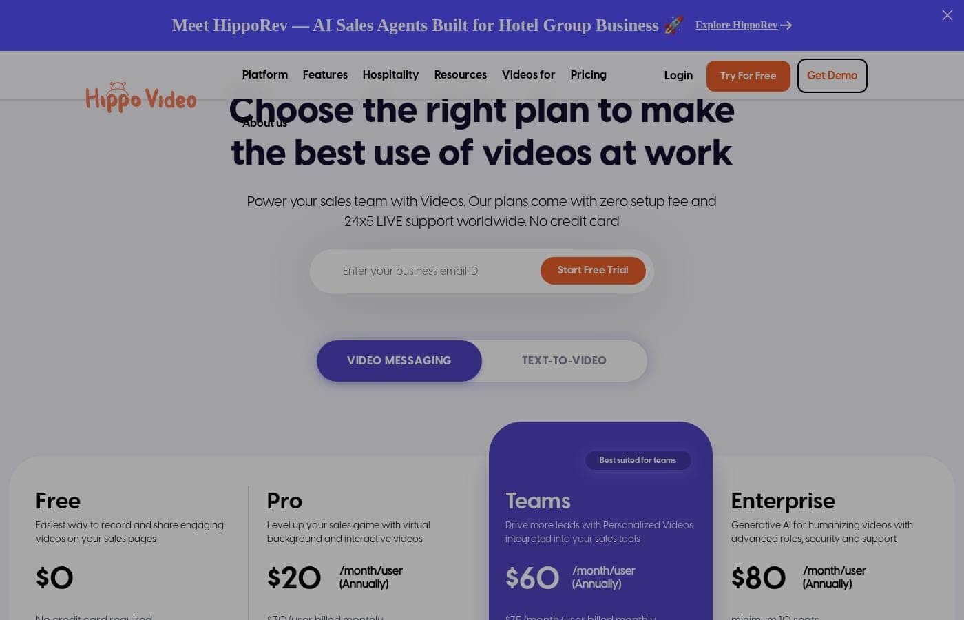 Hippo Video pricing page screenshot