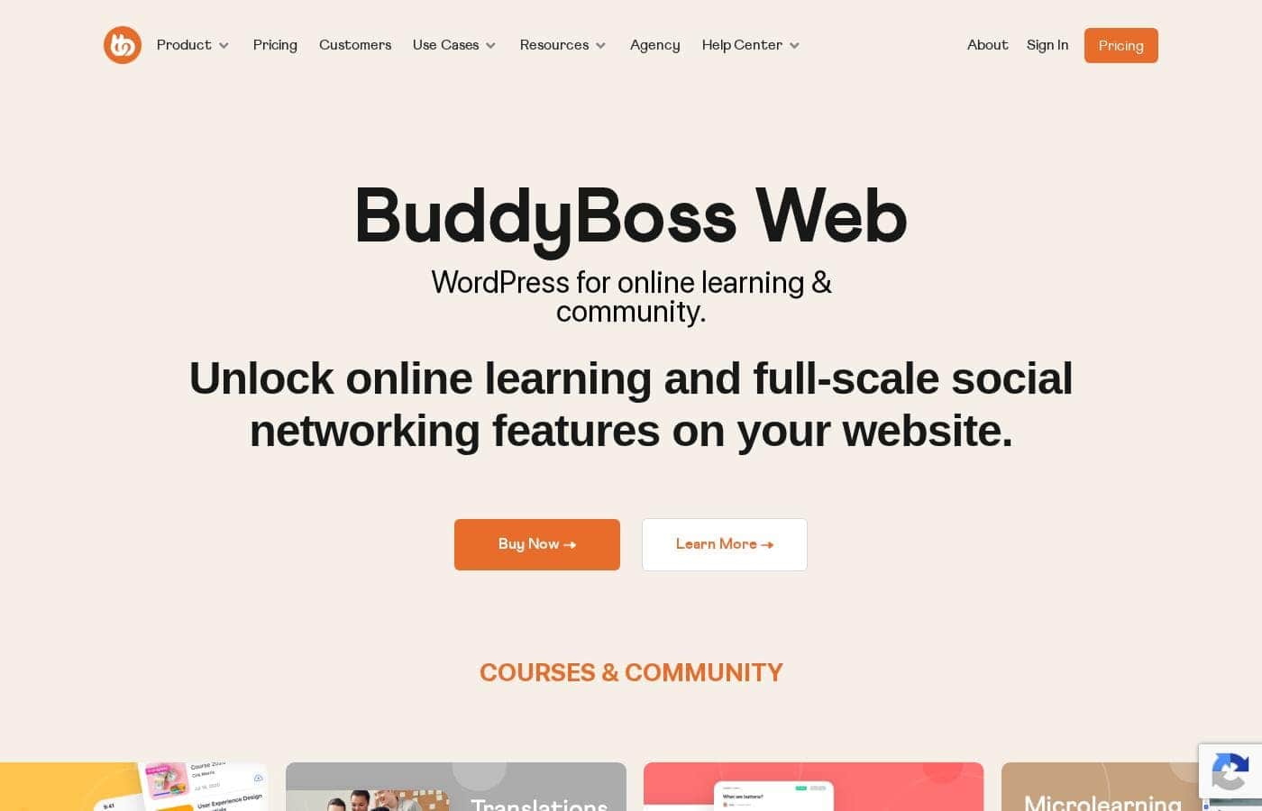 BuddyBoss homepage screenshot