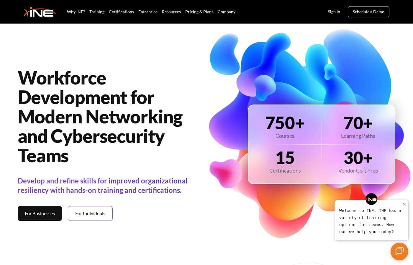 INE homepage screenshot