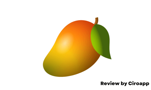 Mango SEO review