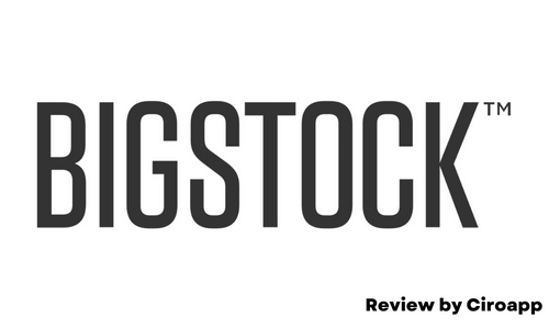 Bigstock review