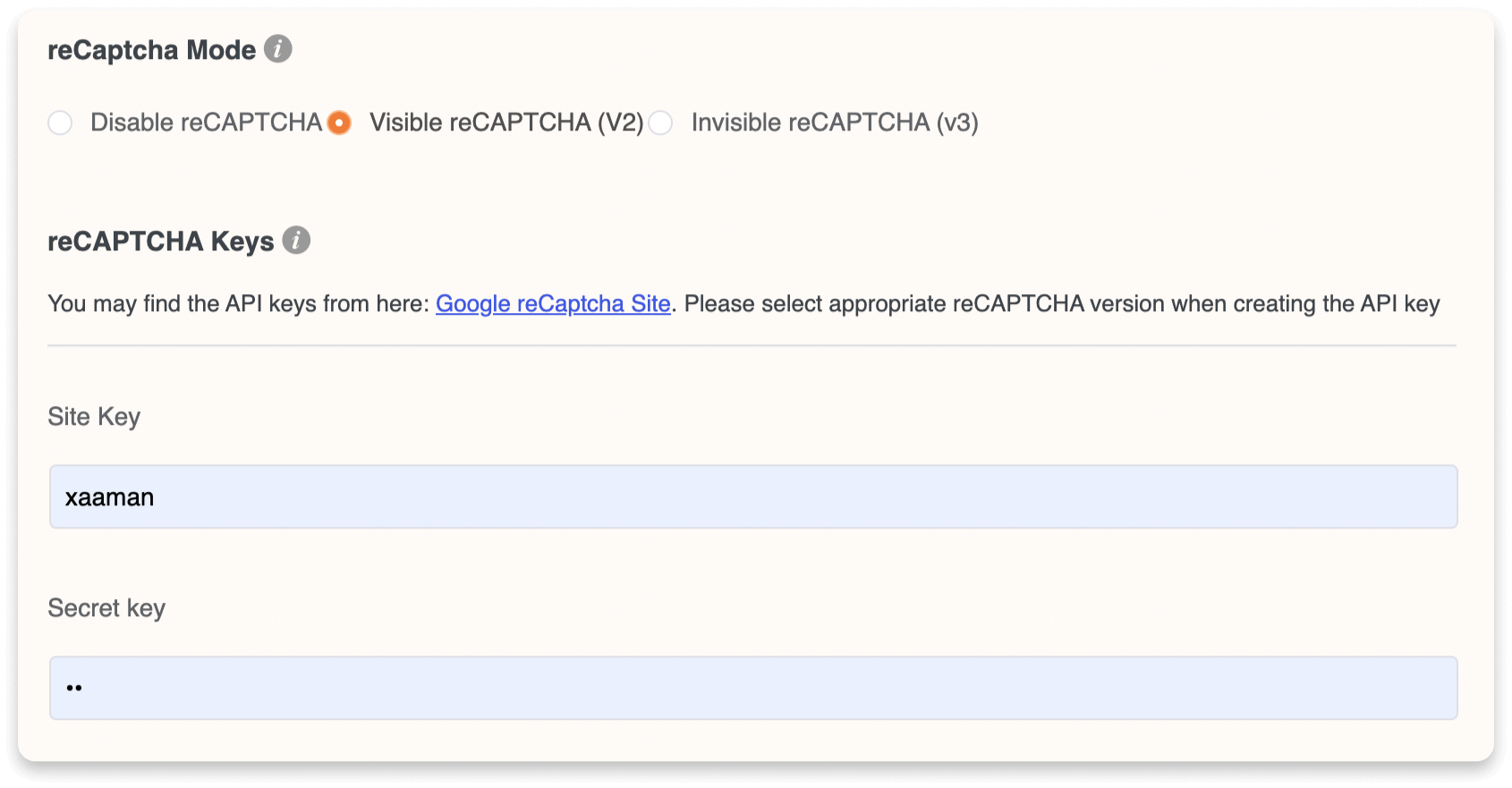 Paymattic Google reCAPTCHA